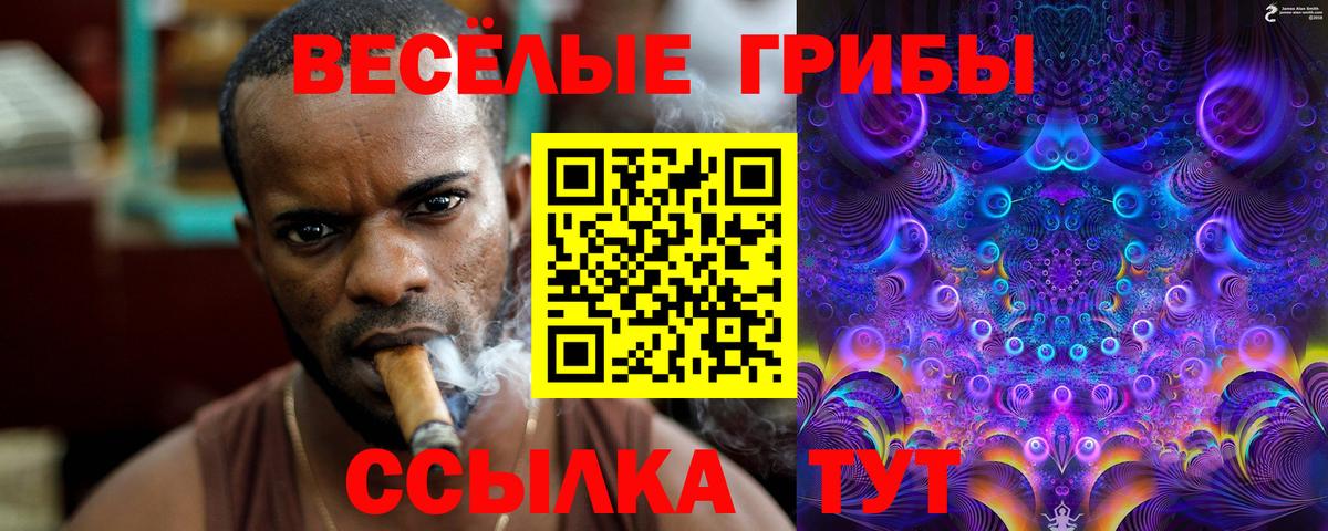 Галлюциногенные грибы ЛСД Гусиноозёрск