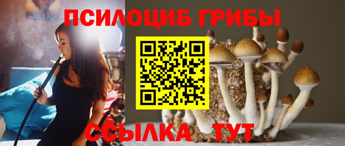 Гусиноозёрск  Галлюциногенные грибы MAGIC MUSHROOMS  Вход с VPN 